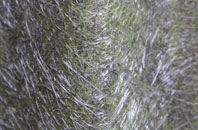 Marehill fibreglass roof work